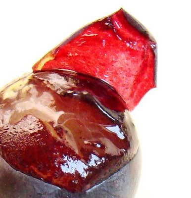 Fein gemahlene Schale roter Jómagyar-Trauben, 250 g