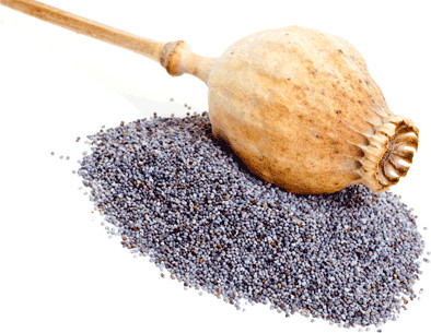 Jómagyar  mákliszt 500 g  500g